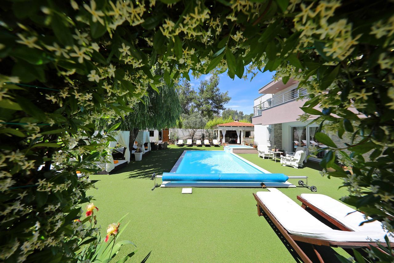 Apartments Mirakul زادار المظهر الخارجي الصورة